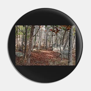 Potomac Woodlands Pin