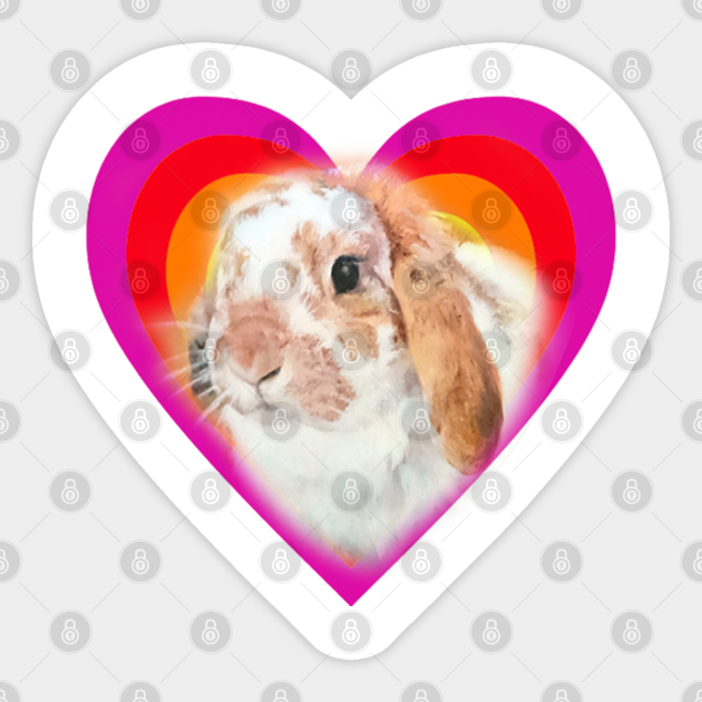 'Lockers' the gorgeous mini lop rabbit! - Rabbit - Sticker