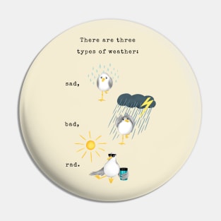 Three Types of Weather Pin