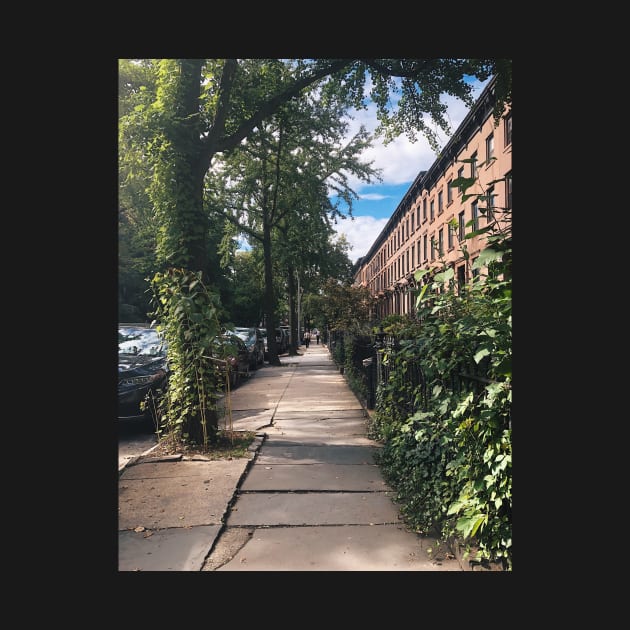 Carroll Gardens Quiet Tree-Lined Street by offdutyplaces