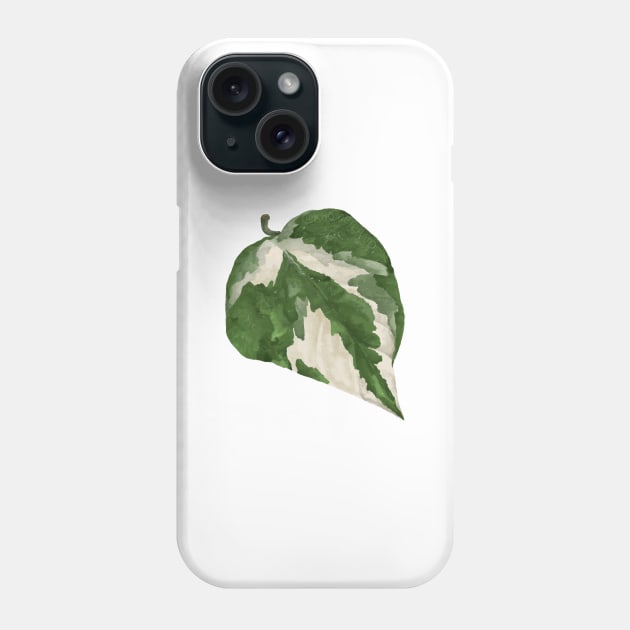 Pothos Glacier leaf Phone Case by Khotekmei