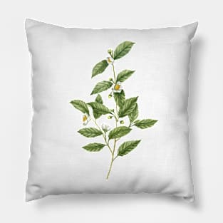 Watercolor tea plant artwork Pillow