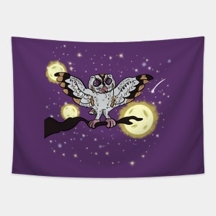 3 Moon Owl Tapestry