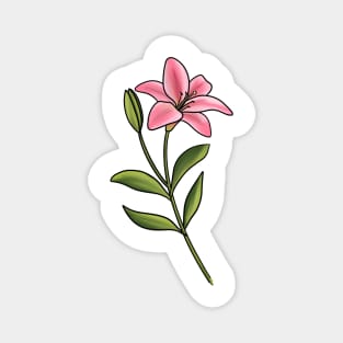 Pink Lily Magnet