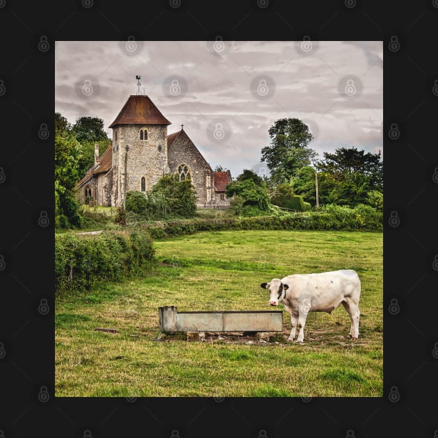 Meadow By The Church Aldworth Berkshire by IanWL