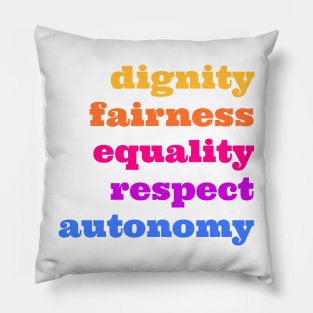 Human rights Pillow