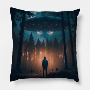 Visitors Pillow