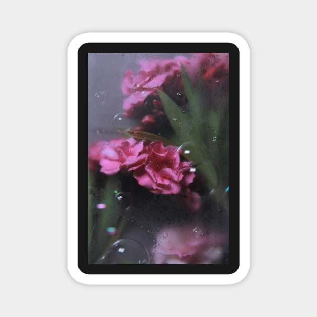 Pink flowers with frosted glass and bubbles photography Magnet by khunsaaziz