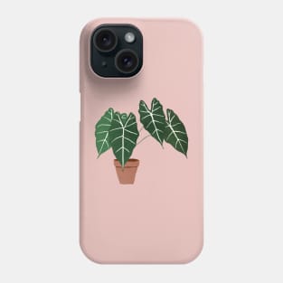 alocasia amazonica interior plant Phone Case