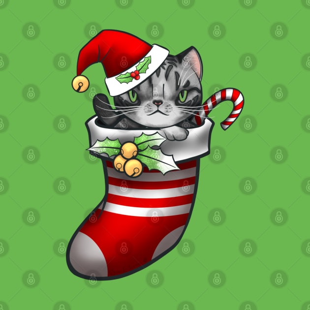 Vanilla the silver tabby cat in a stocking for Christmas by SamInJapan