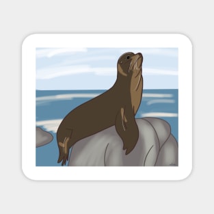 California Sea Lion Magnet