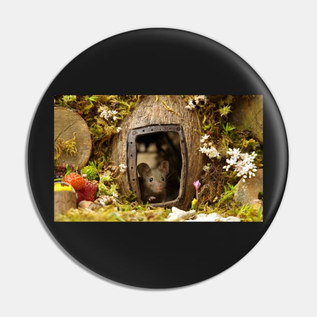 George the mouse in a log pile house Pin by Simon-dell