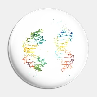 Two DNA Pin