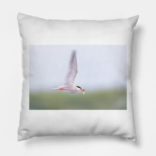 Common Tern Zooming Pillow