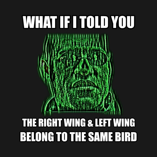 Matrix Meme Left Wing Right Wing Same Bird by BubbleMench