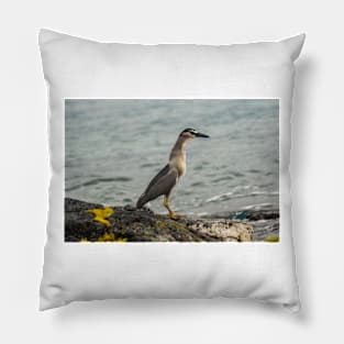 Black-crowned night heron of hawaii 8 Pillow