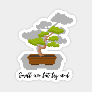 Bonsai: Small but big soul Magnet