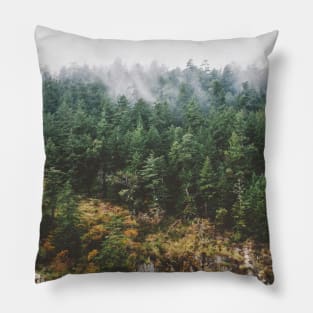 Vancouver Island Fog Pillow