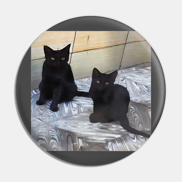 TWO CAT BROTHERS Pin by CATUNIVERSE