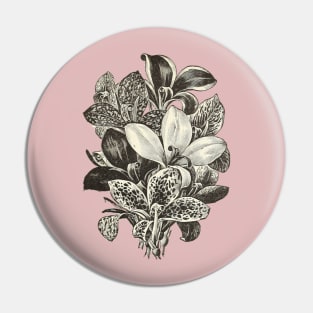 Beautiful Lily Pin