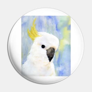 Sulphur Crested Cockatoo Watercolour Painting by Heather Holland Pin