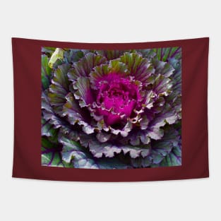 Giant purple kale Tapestry