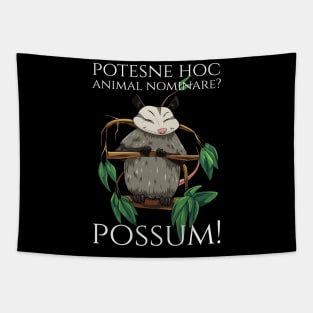 Classical Latin Language Meme - Possum - Wordplay Pun Tapestry