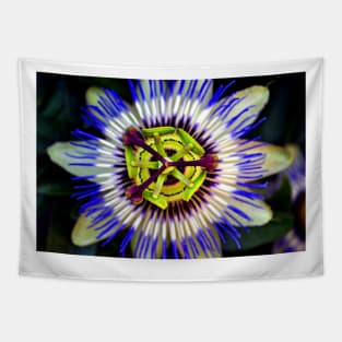 Passion Flower Summer Flowering Plant Tapestry