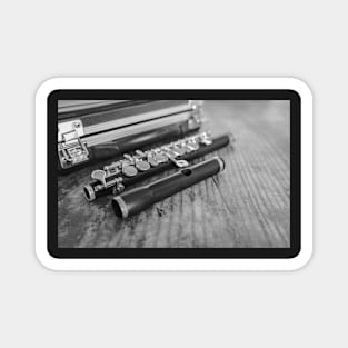 Wooden flute and case Magnet