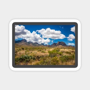 Big Bend National Park Sign Magnet