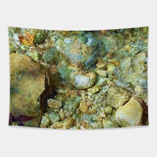 Wet pebbles, pebbles, river, water, nature, wet, rain, winter, xmas, fall, tropical, summer, holidays, art, exotic Tapestry