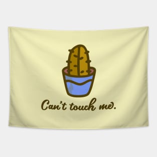 Can't touch me Tapestry