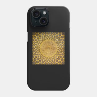 Persian Ceramic Design 59 Phone Case