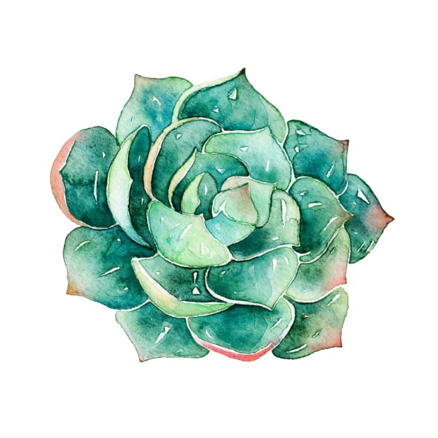 Watercolor hand painted botanical Succulent sticker by SouthPrints