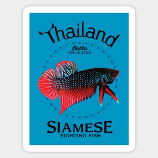 Siamese Fighting Fish Stickers for Sale