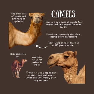 Animal Facts - Camel T-Shirt