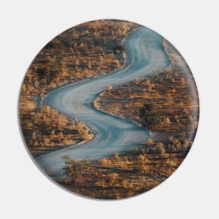 Desert Road Pin