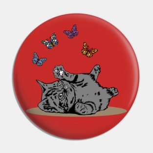 Grey Kitten Playing With Butterflies Pin