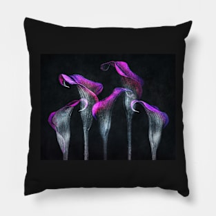 Five Three Calla Lilies black background Pillow