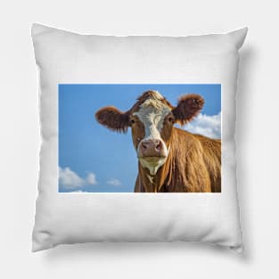 Cow Pillow