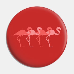 Flamingos Pin