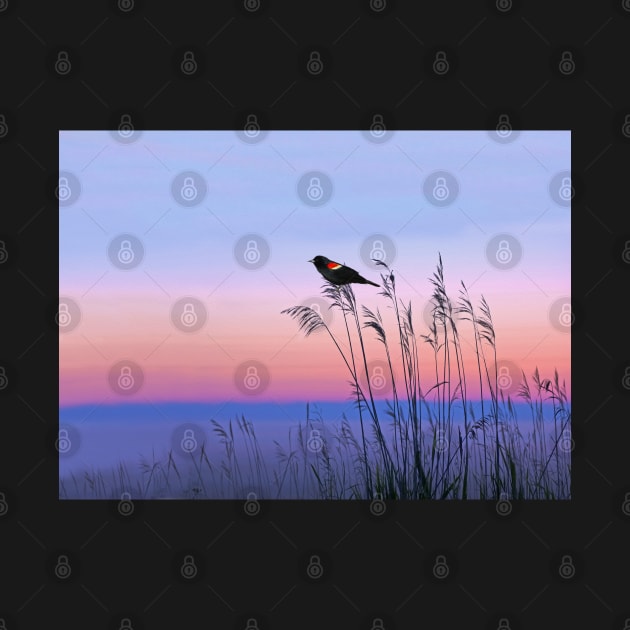 Red Winged Blackbird and Evening Sky by lauradyoung