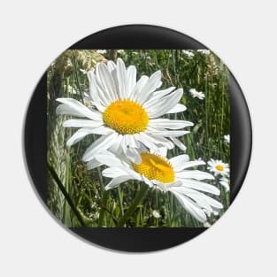 Natural Love of the Daisy Pin