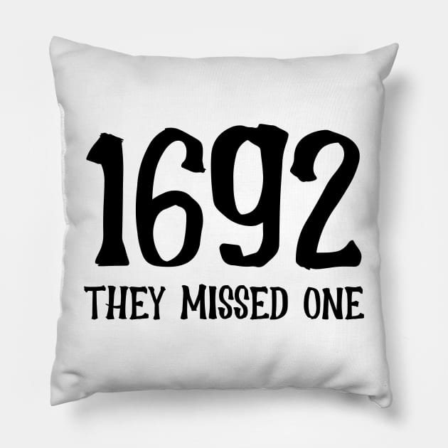 1692 they missed one Pillow by sarabuild