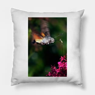 THE PANASONIC FZ 200 PAR OKAIO CREATION Pillow