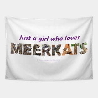 Just a girl who loves meerkats - wildlife oil painting wordart. Tapestry