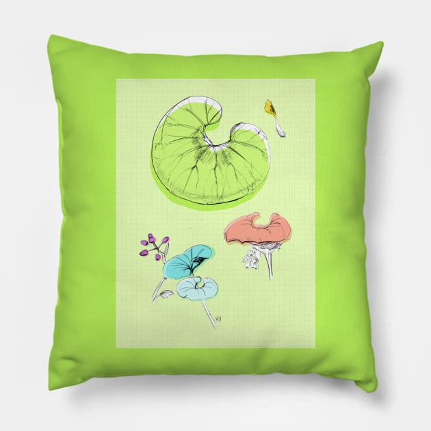 Colorful Botanical Sketch Pillow by VeraAlmeida