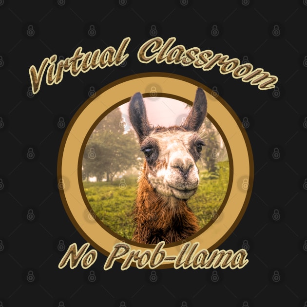 Virtual Classroom No Problem,Prob-llama by SteveKight