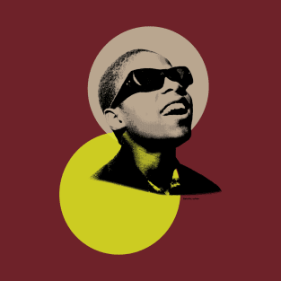 Little Stevie T-Shirt