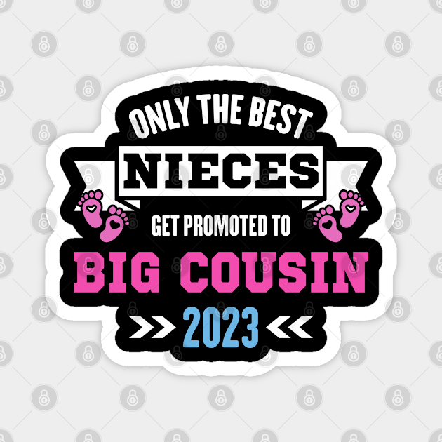 Only The Best Nieces Get Promoted To Big Cousin 2023 Best Nieces Get